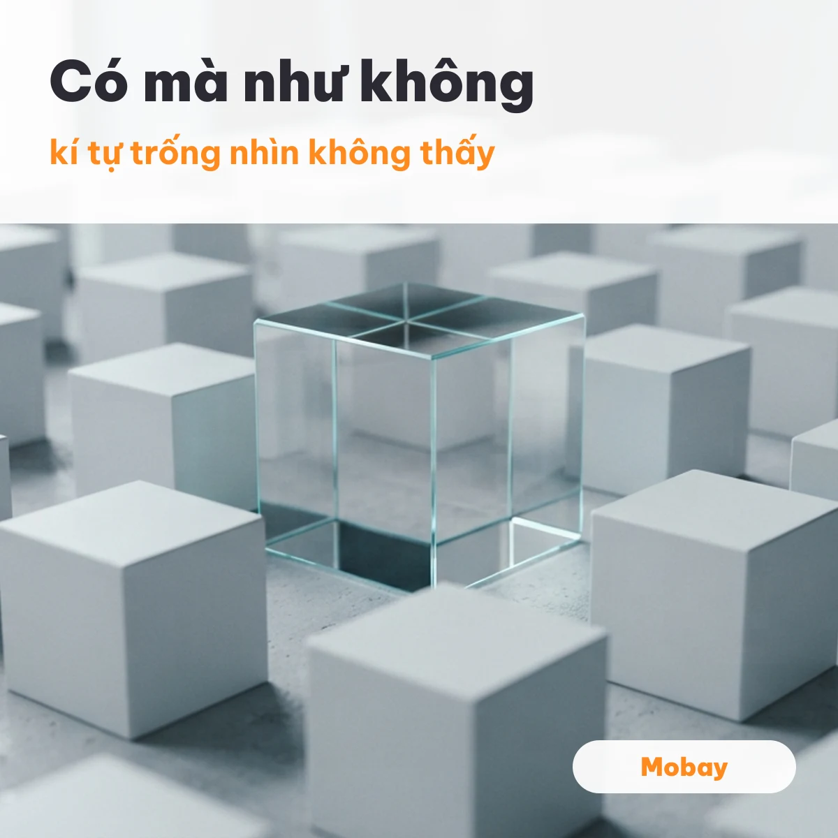 Khối kính trong suốt giữa nhiều khối trắng, minh hoạ kí tự trống nhìn không thấy